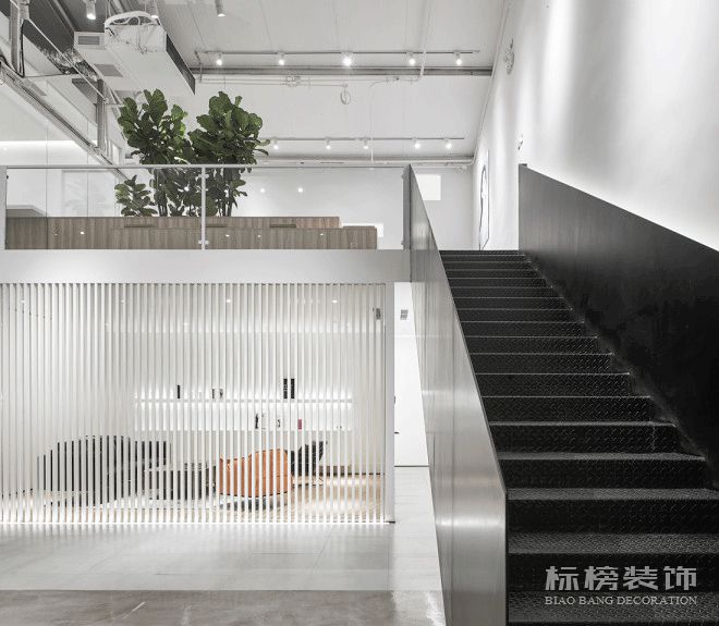 办公室植物摆放植物有哪些，怎么摆放比较好？